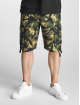 Pelle Pelle Short Basic Cargo camouflage