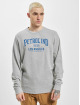 Petrol Industries Jersey Los Angeles gris