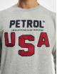 Petrol Industries Pullover Round Neck Print grey