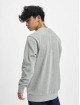 Petrol Industries Sweat & Pull Round Neck gris