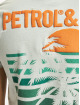 Petrol Industries T-Shirt Industries grau