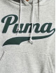 Puma Bluzy z kapturem Team szary