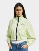 Puma Chaqueta de entretiempo Dare To Woven Cropped verde