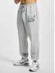 Puma Jogging kalhoty Fandom šedá