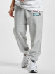 Puma joggingbroek Fandom grijs