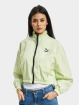 Puma Lightweight Jacket Dare To Woven Cropped green
