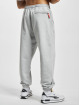 Puma Pantalón deportivo Fandom gris