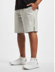 Puma Shorts Longline 10" Training grau