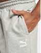 Puma Shorts Longline 10" Training grau