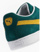 Puma Sneakers Suede Teams green