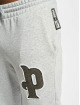 Puma Sweat Pant Team grey