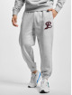 Puma Sweat Pant Team Fleece grey