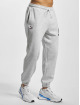 Puma Sweat Pant Team Fleece grey