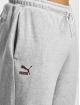 Puma Sweat Pant Team Fleece grey