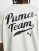 Puma T-shirt Team Graphic beige