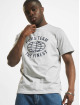 Puma T-Shirt Team Graphic II grau
