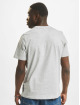 Puma T-Shirt Team Graphic II grau