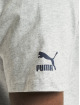 Puma T-Shirt Team Graphic II grau