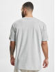 Puma T-Shirt Team Graphi gris