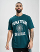 Puma T-Shirt Team Graphic grün