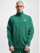 Puma Zomerjas T7 groen