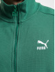Puma Zomerjas T7 groen