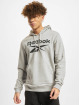Reebok Hettegensre RI FT OTH BL grå