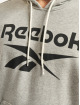 Reebok Hettegensre RI FT OTH BL grå