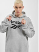 Reebok Hoody Ri Flc Big Logo grijs