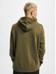 Reebok Hoody RI FT OTH BL grün