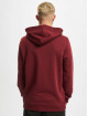 Reebok Hoody RI FT OTH BL rot