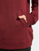 Reebok Hoody RI FT OTH BL rot
