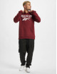 Reebok Hoody RI FT OTH BL rot