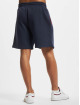 Reebok Shorts BB Iverson Fleece blau
