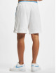Reebok Shorts BB Iverson Bball weiß