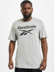 Reebok T-Shirt RI Big Logo grau