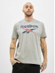 Reebok T-Shirt Identity Big Logo grey