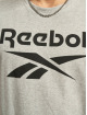 Reebok T-shirt Ri Big Logo grigio