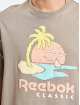 Reebok T-Shirt Classics Summer Graphic gris