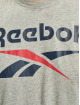 Reebok T-Shirty Identity Big Logo szary
