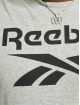 Reebok T-Shirty RI Big Logo szary