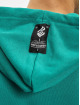 Rocawear Bluzy z kapturem Glendale zielony