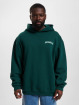 Rocawear Hoody Shape grün