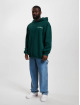 Rocawear Hoody Shape grün