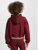 Rocawear Hoody Kansas rot