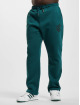 Rocawear Jogginghose Kentucky grün