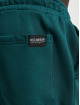 Rocawear Jogginghose Kentucky grün