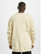 Rocawear Pullover Pastel beige