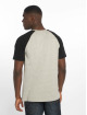 Rocawear T-Shirt Bigs grey