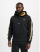 Sergio Tacchini Hoodie Nostello grey